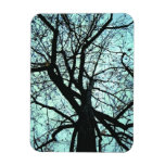 Up the Tree Abstract Magnet