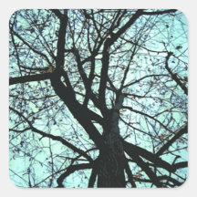 Up the Tree Abstract Sticker