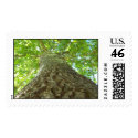 Up the Tree PS postage by idream10 Up the Tree PS postage
