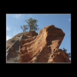 Up to Angels Landing Postcard