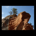 Up to Angels Landing Print