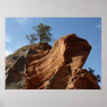 Up to Angels Landing Print