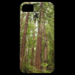 Up to Redwoods iPhone 5 Case