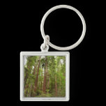 Up to Redwoods Keychain