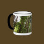 Up to Redwoods Mug