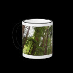 Up to Redwoods Mug