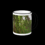 Up to Redwoods Mug