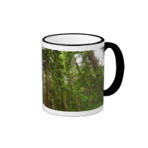 Up to Redwoods Mug