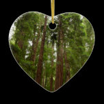 Up to Redwoods Ornament