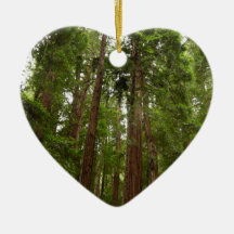 Up to Redwoods Ornament