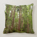 Up to Redwoods Pillow