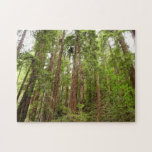 Up to Redwoods Puzzle