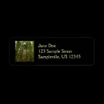 Up to Redwoods Return Address Label
