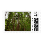 Up to Redwoods Stamp