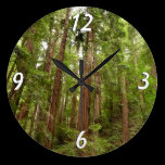 Up to Redwoods Wall Clock