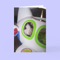 Up, Up and Away cards
