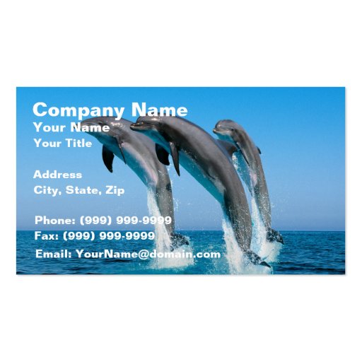Up Up Up Dolphins Business Card Templates
