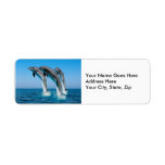 Up Up Up Dolphins Custom Return Address Label