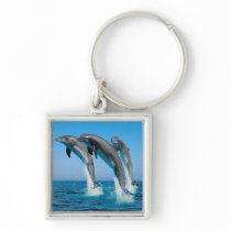 Up Up Up Dolphins Key Chains