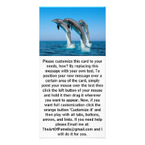 Up Up Up Dolphins Photo Cards