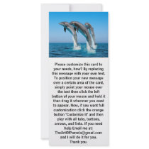 Up Up Up Dolphins Custom Rack Card