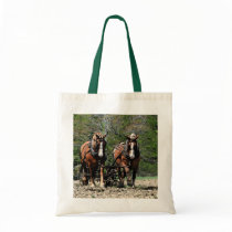 Uphill Bag