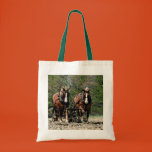 rural, farm, amish, horse, mammal, animal, work,
