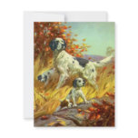 Upland Bird Dog Setter Field Training Announcement