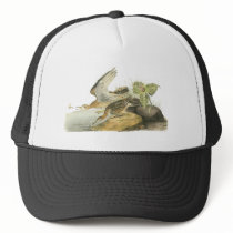 Upland Sandpiper, John Audubon Trucker Hat