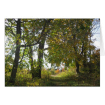 Uplands Farm Nature Sanctuary cards by lilyhydrangea Uplands Farm Nature Sanctuary cards