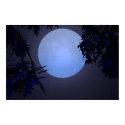 Upon a Blue Moon posters by gshirpara Upon a Blue Moon posters