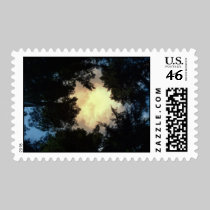upon the forest floor postage