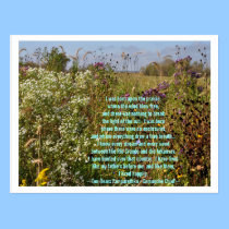 Upon The Prairie postcards