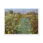 Upon The Prairie Post Card