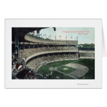 Upper Bleacher View of Nat'l League Baseball Par Cards