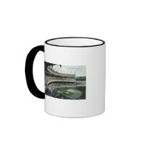 Upper Bleacher View of Nat'l League Baseball Par Mug