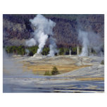 Upper Geyser Basin, Yellowstone National Park, U.S Full Color Flyer
