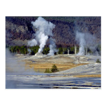 Upper Geyser Basin, Yellowstone National Park, U.S Postcard