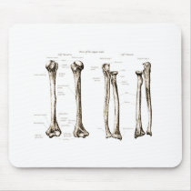 Upper Limb Sepia Mousepad
