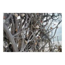 Uprooted with Shells posters