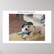 UPS Dog Poster