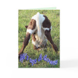Ups & Downs-customize cards