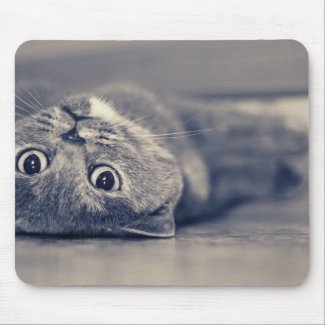 Upside Down Cat mousepad