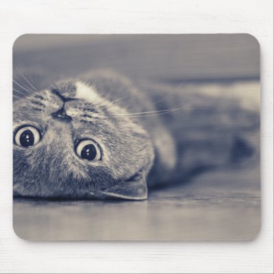 Upside Down Cat Mousepads Zazzle_mousepad