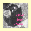 upside down dreams magnets