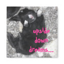 upside down dreams magnets
