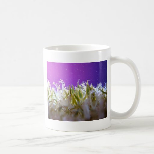 Upside Down Jellyfish Mugs