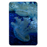 Upside Down Jellyfish Premium Flexi Magnet