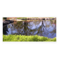 upside down pond reflection photo cards by Tamossa upside down pond reflection photo cards