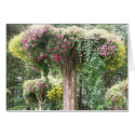 upside down tree cards by myscrewsbeloose upside down tree cards
